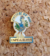 Pins EDF Blayais - EDF GDF