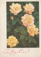 FIORI Vintage Cartolina CPSM #PAR423.IT - Fleurs