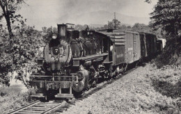TREN TRANSPORTE Ferroviario Vintage Tarjeta Postal CPSMF #PAA463.ES - Trains