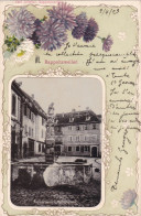 68. RIBEAUVILLE. CPA GAUFREE. RAPPOLTSWEILER.  MARKTBRUNNEN. ANNEE 1903 + TEXTE - Ribeauvillé