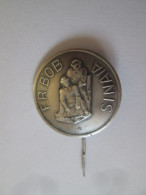 Rare! Insigne La Feder.Roumaine De Bobsleigh Sinaia Vers 1920/The Romanian Bobsleigh Feder.Sinaia 1920s Badge,D:23 Mm - Sports D'hiver