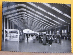 (ROM4) ROMA - INTERNO DELLA STAZIONE - ANIMATA  - VIAGGIATA  IN BUSTA - Stazione Termini