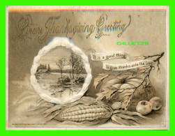 THANKSGIVING - SINCERE THANKSGIVING GREETING - EMBOSSED - JOHN WINSON, 1911 - - Thanksgiving