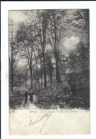 Orroir  La Route De L'enfer à L'Enclus  1903 (petite Pli En Bas à Gauche) - Mont-de-l'Enclus
