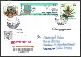 India 2024 World Environment Day,Turtle,Tortoise,Tree,Pineapple,Registered Cover (**) Inde Indien - Storia Postale