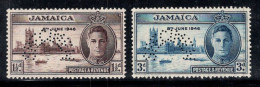 Jamaïque 1946 Neuf ** 100% Victoire Specimen - Jamaica (...-1961)