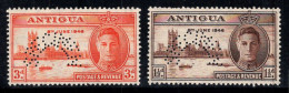 Antigua 1946 Neuf ** 100% Victoire Specimen - 1858-1960 Crown Colony