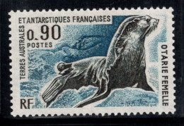 TAAF Terres Françaises De L'Antarctique Austral 1976 Yv. 57 Neuf ** 100% Faune, 90 C - Nuevos
