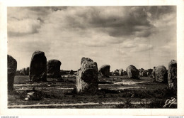 N°21303 Z -cpsm Carnac -alignements Du Ménec- - Dolmen & Menhirs