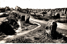 N°21469 Z -cpsm Carnac -alignement Du Ménec- - Dolmen & Menhirs