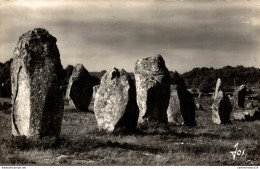 N°20882 Z -cpsm Carnac -alignements De Kermaria- Menhirs - - Dolmen & Menhirs