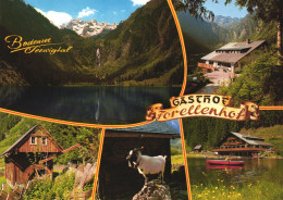 LIEZEN, STYRIA, ASSACH, MULTIPLE VIEWS, ARCHITECTURE, LAKE, MOUNTAIN, GOAT, MILL, BOAT, WATERFALL, AUSTRIA, POSTCARD - Liezen