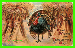 THANKSGVING - TURKEY HEARTY WISHES FOR THANKSGIVING DAY - TRAVEL IN 1910 - DAVIDSON BROS PICTORIAL POST CARDS - - Thanksgiving