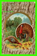 THANKSGVING GREETINGS - TURKEY WITH HER FAMILY -  TRAVEL IN 1909 -  EMBOSSED - - Thanksgiving