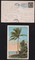 Puerto Rico USA Ca 1923 Picture Postcard AGUADILLA X MOZAMBIQUE Portugal Coco Nut - Puerto Rico