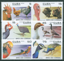 Kuba 2006 Tiere Geflügel Huhn Gans Fasan Pfau Ente 4808/13 Postfrisch - Unused Stamps