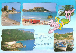 CPM - TOUT BAIGNE EN CORSE - MULTIVUES - MIOMO - CALVI - PORTO - CARGESE - Corse