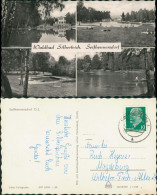 Seifhennersdorf DDR Mehrbild-AK 4 Ansichten Waldbad Siberteich 1966/1965 - Seifhennersdorf