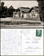 Sommerfeld-Kremmen (Oberhavel) Klinik Und Forschungsstätte Waldhaus 1962 - Sommerfeld