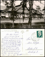 Sommerfeld-Kremmen (Oberhavel) Klinik Und Forschungsstätte „Waldhaus" 1962 - Sommerfeld