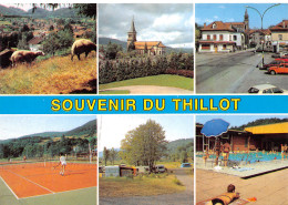 88-LE THILLOT-N°3309-C/0109 - Le Thillot