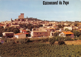 84-CHATEAUNEUF DU PAPE-N°3310-D/0169 - Chateauneuf Du Pape