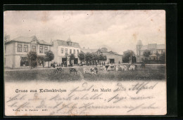AK Kaltenkirchen, Am Markt Mit Weidenden Kühen  - Kaltenkirchen