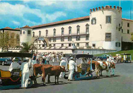 Animaux - Vaches - Funchal - Entrada Da Cidade E Tipico Carro De Bois - Entrée De La Viile Et Char à Boeufs Typique - Ca - Cows