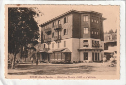 CPA :  14 X 9  -  BOËGE  -  Hôtel  Des  Chalets - Boëge