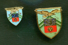 2 Pin's Insignes Armée De L'air BA116 Luxeuil - Airforce