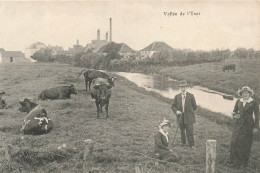 BELGIQUE - Vallée De L'Yser - Paysage Rural - Bœufs - Animé - Carte Postale Ancienne - Other & Unclassified