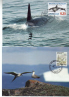 Groenland - (1990-96) - Carte Maximum -   Faune -  Mammifere Marin - Oiseaux - - Covers & Documents