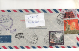 3 Timbres , Stamps   Sur Lettre Recommandée , Registered Cover , Mail Du 27/6/67 - Brieven En Documenten