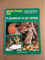 Slovenščina Knjiga Otroška SKRIVNO ŽIVLJENJE ŽIVALI (V Gozdovih In Po Drevju) - Slawische Sprachen