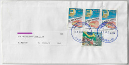 Brazil 2004 Cover From Brasilia Agency Radio Center To Blumenau Stamp Battle Of Monte Castello + Pernambuco Diary - Briefe U. Dokumente