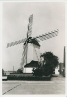 Aartselaar Heimolen Reetsesteenweg Foto A. Carre 1979 Molen - Aartselaar