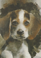 CANE Animale Vintage Cartolina CPSM #PAN943.IT - Dogs