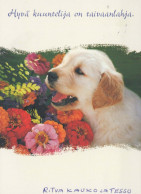 HUND Tier Vintage Ansichtskarte Postkarte CPSM #PBQ443.DE - Dogs
