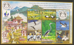 Bhutan Bhoutan Oiseaux Birds Minisheet Cranes Heron Endangered Species Espèces En Danger Extinction Nature Protection - Kraanvogels En Kraanvogelachtigen