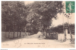 N°33633 Z -cpa Brulon -avenue Des Frênes- - Brulon