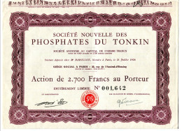 Société Nouvelle Des PHOSPHATES Du TONKIN - Azië