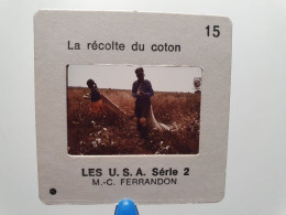 Photo Diapo Diapositive Slide LES USA Série 2 : La Récolte Du Coton Cotton Main D'Oeuvre Noire Dont Fillette VOIR ZOOM - Diapositive
