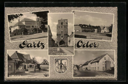 AK Gartz (Oder), Teilansicht, Friedensschule, HOG Stadtcafe, Stettiner Tor, Rudolf-Breitscheid-Strasse, Wappen  - Gartz