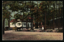 AK Neustadt I. Sa., Hohwaldschänke Mit Pferdekutsche  - Hohwald (Sachsen)