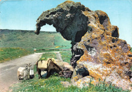 ITALIE - Sassari - Castel Sardo - Roccia Dell'Elefante - Rocher De L'éléphant - Rock Of The Elephant - Carte Postale - Sassari