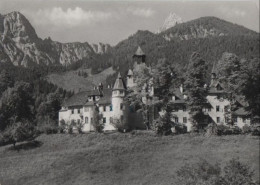 83540 - Österreich - Grossreifling - Schloss Kassegg - 1965 - Liezen
