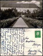 Ansichtskarte Dachau Schloß Und Garten 1959 - Dachau