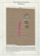 1904  LUXEMBOURG PREO Nr. 18 A (2 X) Sur Bande De Journal (details & état Voir 4 Scans) ! RRRRR  LOT 314 - Preobliterati