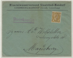 1905  LUXEMBOURG PREO Nr. 24 B  Sur Lettre à Magdeburg (ALLEMAGNE) (details & état Voir 3 Scans) ! RRRRR  LOT 314 - Preobliterati