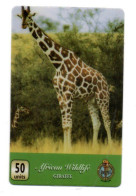 Africa Wildlife Girafe Télécarte Angleterre Royaume-Unis Phonecard ( T 131) - Collezioni